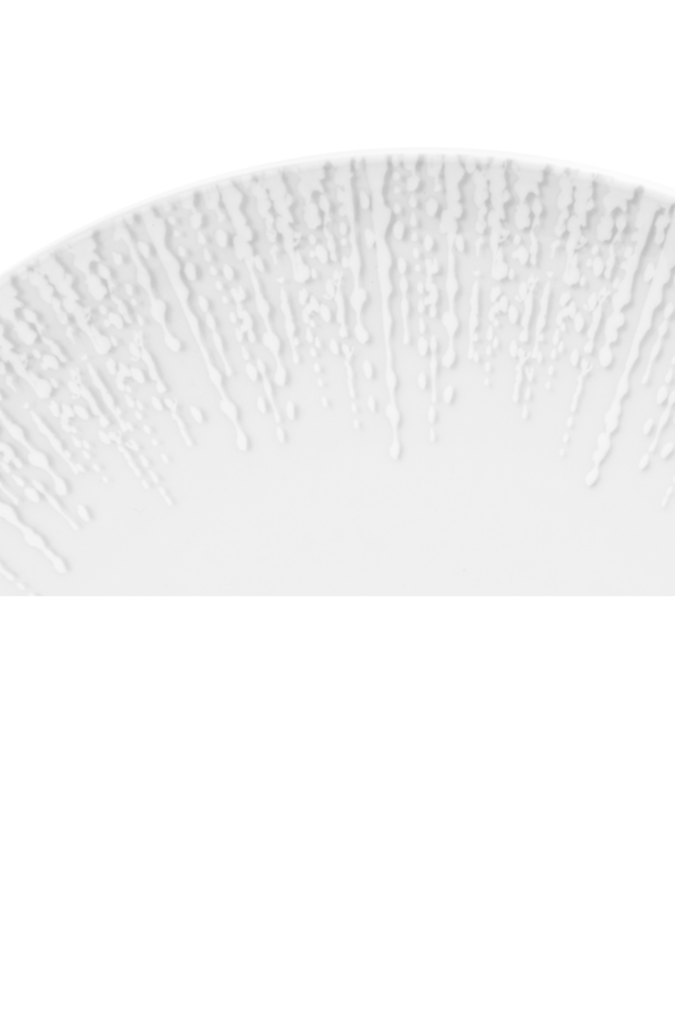 Assiette chauffante "Rayonne" (28cm) Préco