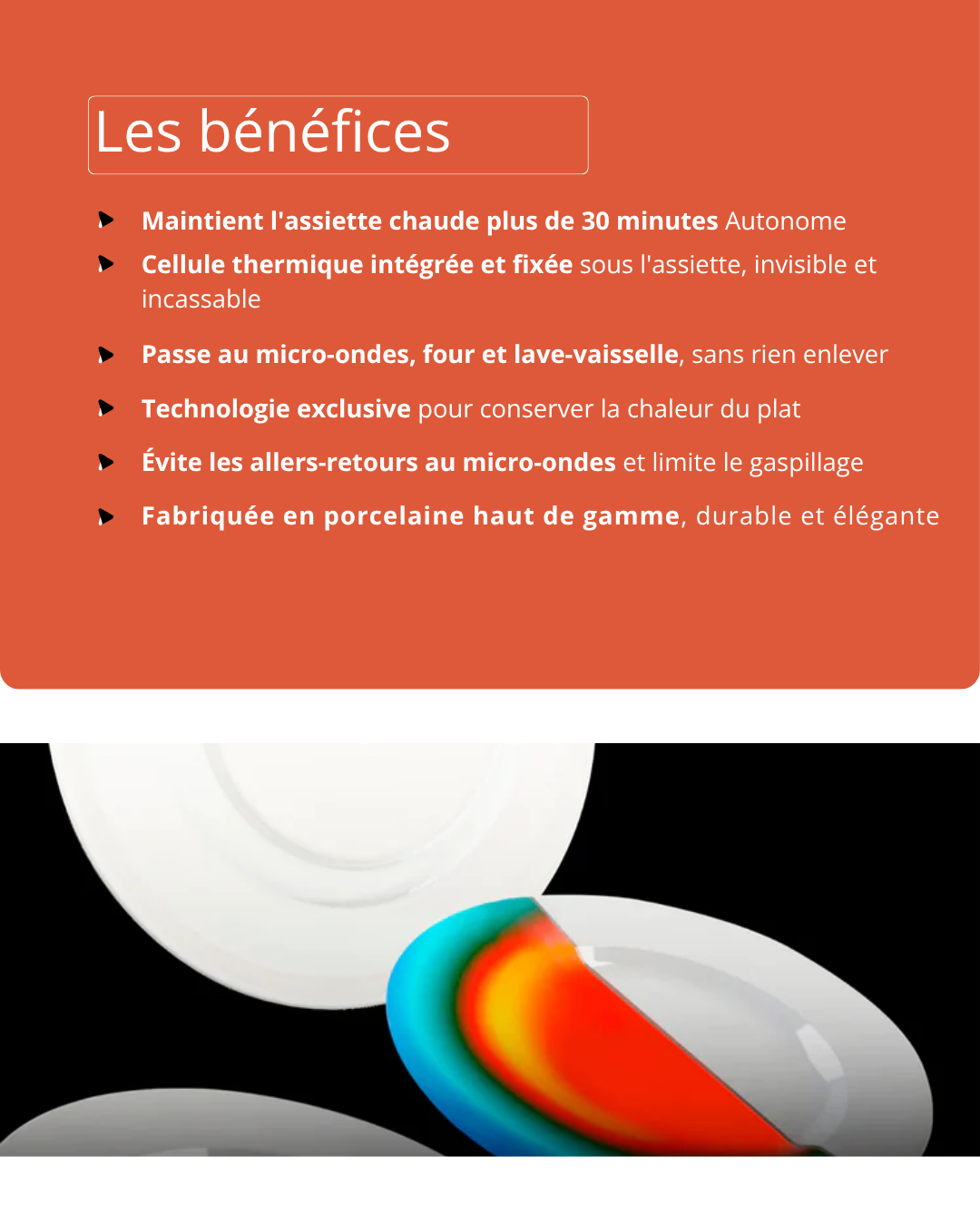 Assiette chauffante "Classis" (27cm) Préco