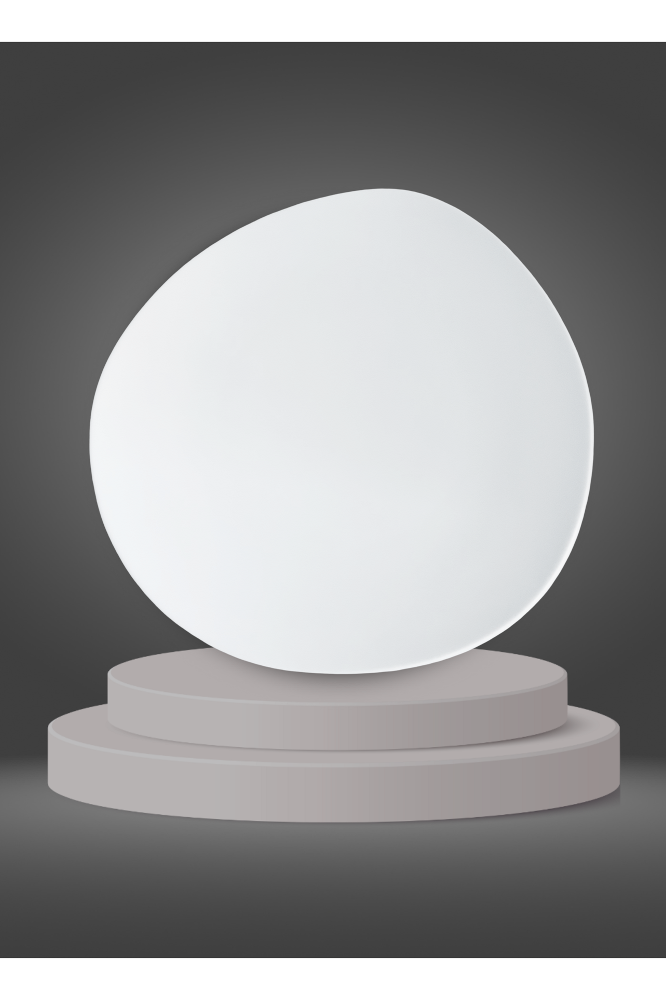 Assiette chauffante "Nova" (27cm) Préco