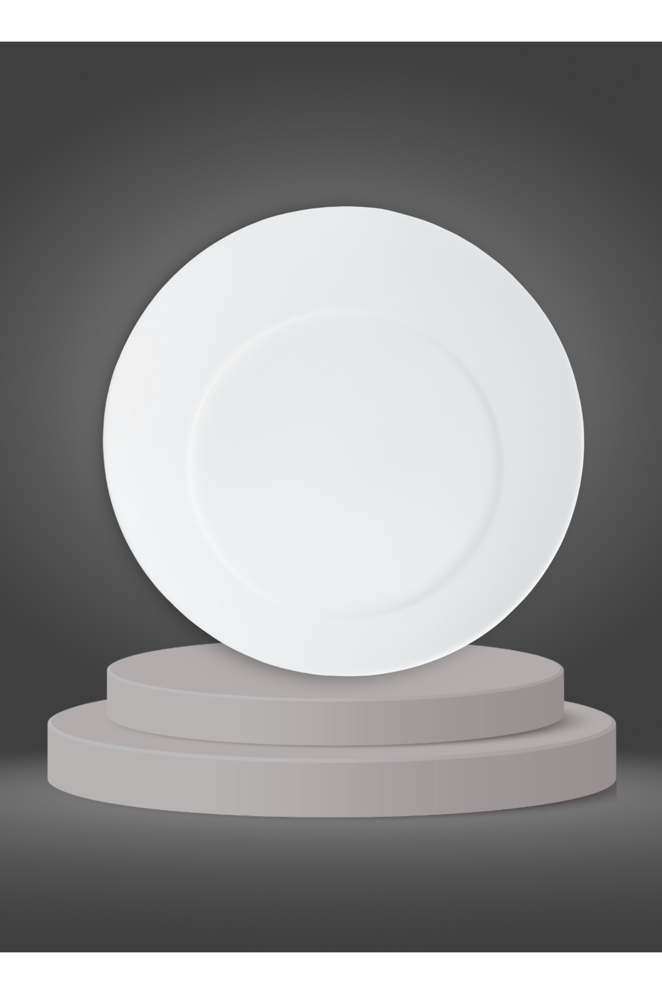 Assiette chauffante "Classis" (27cm) Préco