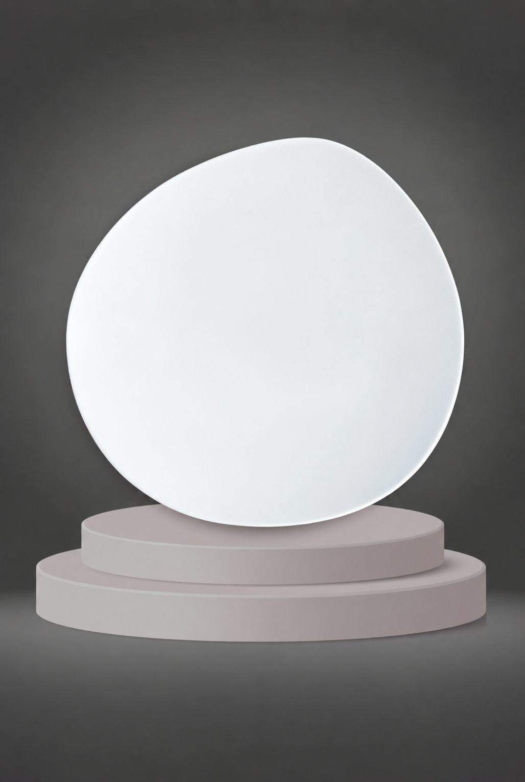 Assiette chauffante "Nova" (27cm) Porcelaine Blanche
